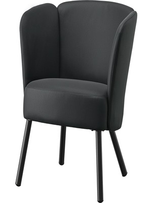 IKEA Siyah Kullanışlı Berjer Koltuk
