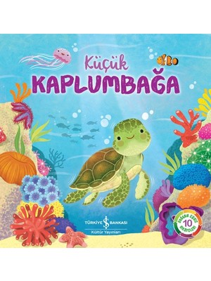 K-Yonlineticaretdy Küçük Kaplumbağa