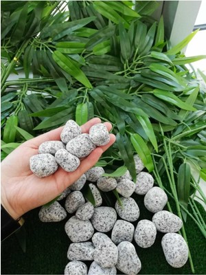 Delixa Granit Dolomit 5 Kkg 2,5-4 cm Dekoratif Bahçe Taşı Dekor Taşı