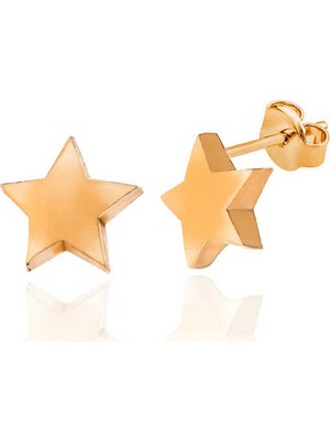 Gümüş Rose Yıldız Çivili Kadın Küpe