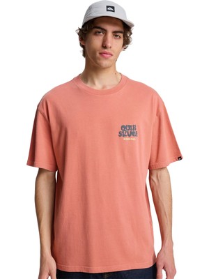 Quiksilver Fruits Tide Erkek Tişört EQYZT08296