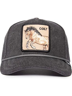 Goorin Bros - Cold 101-1731 (AT)