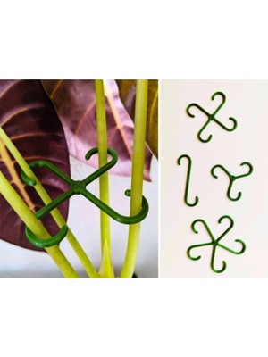 Yami Design Bitki Gövde Destek ve Sabitleme Klipsi | Dikey Büyüme Için Pratik Bitki Tutucu (4'lü Set)