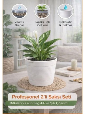 Akıllı 2'li Saksı Seti - Bone Beyaz Dekoratif Saksı + Şeffaf Üretim Saksısı | Drenajlı, Kırılmaz