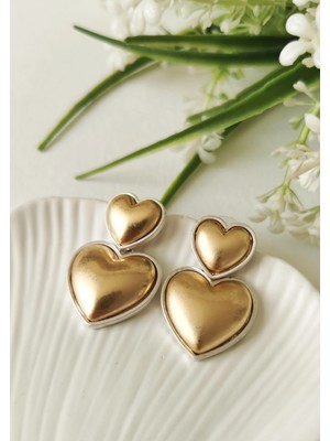 Halley Concept Ikili Kalp Çelik Küpe