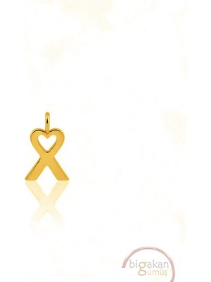 Bigakan Kalp Detaylı Farkındalık Sembolü Kolye Ucu 925 Ayar Minimal Tasarım Altın Kaplama