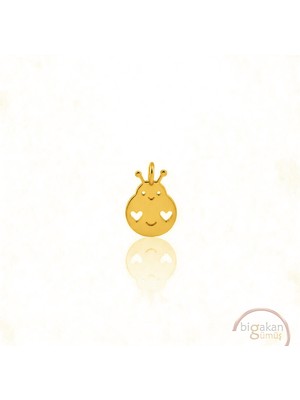 Bigakan Uğur Böceği Kolye Ucu 925 Ayar Minimal Tasarım Altın Kaplama