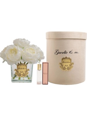 Guerlieandco. Krem 7 Şakayık Kare Cam Gold