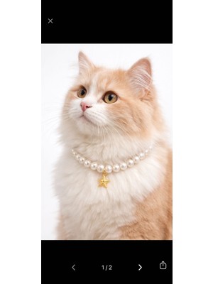  yıldız detay kedi tasması