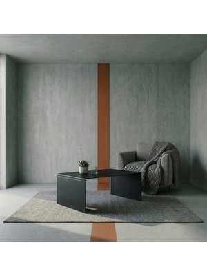 Modilab Modern Metal Orta Sehpa- Minimal Dikdörtgen Demonte Salon Sehpası