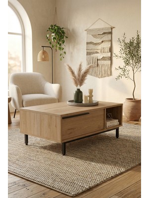 Robin Home Lidya Orta Sehpa Metal Ayaklı Kapaklı Sepet