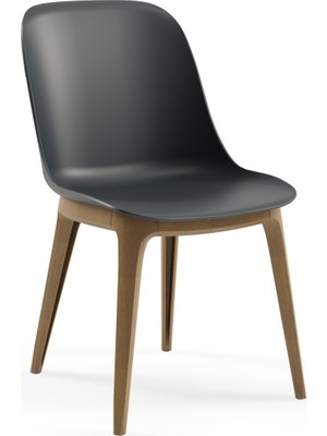 Tilia Shell-Wp Polipropilen Sandalye Antrasit - Bahçe, Balkon, Dış Mekan, Kafe, Restoran Için