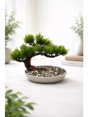 Lineva Dekoratif Tabakta Bonsai Ağacı – Ev & Ofis Masa / Raf Dekoru