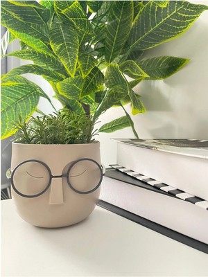 Lineva Dekoratif Gözlüklü Profesör Çim Adam Yapay Çiçek 1 Adet