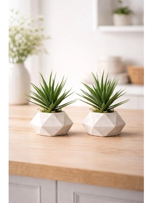 Lineva 2 Adet Beton Saksıda Yeşil Yapay Kaktüs Aloevera