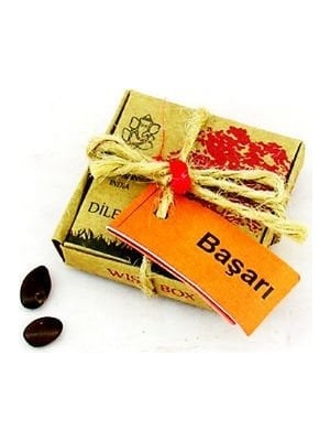 Practika 4x4 cm Dilek Tohumları - Başarı Mesajı Kraft Kutuda Gerçek Tohumlar