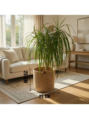 Sarda Design 25cm*25cmEl Emeği Dekoratif Saksı Kılıfı Dekoratif Doğal ve Şık