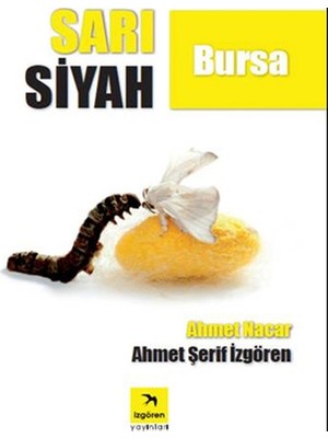 Sarı Siyah Bursa