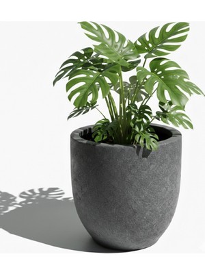 Hobi Tarım Beton Saksı 52X52X52CM