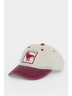 DeFacto Pamuklu Cap Şapka Erkek Çocuk G4754A826SM