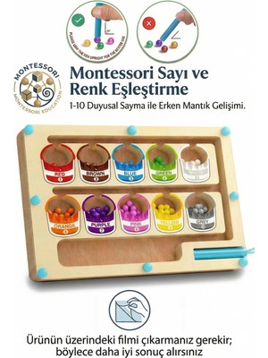 Bbsky Montessori Manyetik Ahşap Boya Kovası Labirenti: 3+ Yaş Eğitici Sayısal Mantık ve Miktar Sayma Oyuncağı - Okul Öncesi Erken Öğrenme Aktivitesi ve Doğum Günü Hediyesi