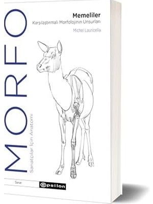 Esplendor Store Morfo - Memeliler Karşılaştırmalı Morfolojinin Unsurları