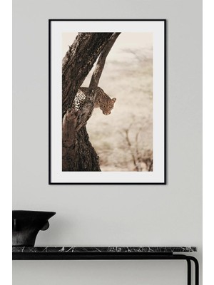 Artavessa Tek Parça Ahşap Çerçeve Görünümlü Pantene Renk Serisi Mdf Tablo 33X48 cm - Model 8