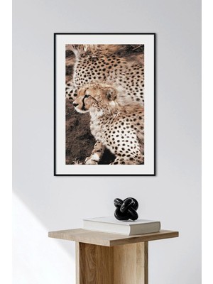 Artavessa Tek Parça Ahşap Çerçeve Görünümlü Pantene Renk Serisi Mdf Tablo 33X48 cm - Model 7