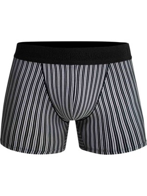 Doreanse Erkek Modal Çizgi Desenli Normal Paça Boxer 1866