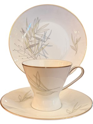 TT Rosenthal Trio Çay Kahve Finvanı - Fincan Tabağı ve Pasta Tabağı