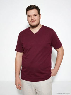 LC Waikiki Lcwaıkıkı Classic Bordo V Yaka Penye Erkek Tişört