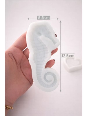 Büyük Denizatı Silikon Kalıp