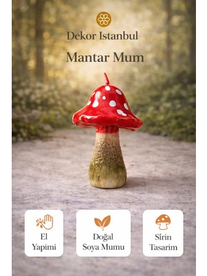 Dekor İstanbul Dekoratif Mantar Mum El Yapımı Doğal Soya Mum Şirin Tasarım Ev Dekoru Hediye Mum Modeli