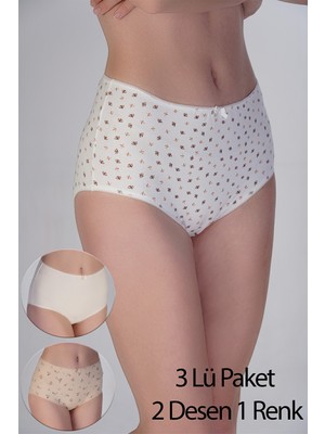 NEWBRA LINGERIE Kadın Yüksel Bel Bato Penye 3 Lü Külot