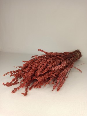 Decovetro Uru Çiçek Kokulu Şoklanmış Dökülmeye Dayanıklı Gerçek Lavanta Demeti