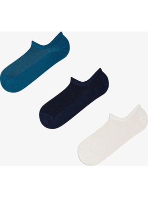 Penti Erkek Renkli Low Key Pack 3'lü Sneaker Çorabı