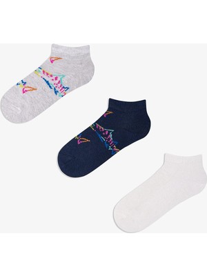 Penti Renkli Erkek Çocuk Color Shark 3 'lü Patik Çorap