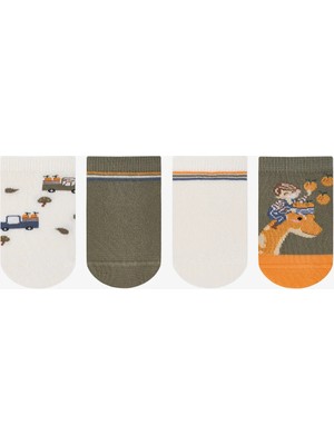 Penti Renkli Erkek Çocuk Fruit Dino 4 'lü Patik Çorap
