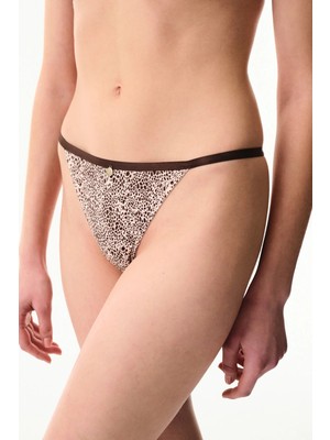 Penti Renkli Micro Lace Brazilian Kadın Külot 1 Adet Çok Renkli Dantel Detaylı Tasarım