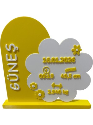 3D Tasarım Kişiye Özel Doğum Anı Hatırası Pano ve Tarak