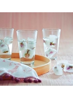 Uravas Store Lav 6'lı Meşrubat Bardağı