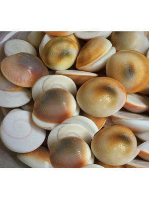 Taşmir Büyük Boy Doğal Yılancık Taşı 20 Adet