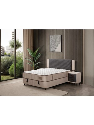 Alpino Mobilya Alpino Elegance Set