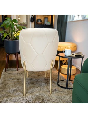 Msy Home 4 Adet Naz Serisi Gold Yönsüz Kumaş Lüks ve Modern Sandalye Seti