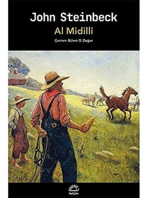 TeknoKapsül Al Midilli