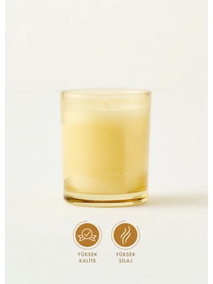 Bella Maison Amberwood Trail Soya Wax Kokulu Mum Sarı (120 gr)