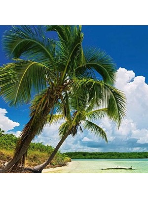 TeknoKapsül Heye Puzzle Paradise 2000 Parça Panorama