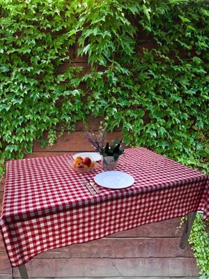 TeknoKapsül 160X170 cm Kırmızı Büyük Kare Desen Pötikareli Masa Örtüsü, Sofra Bezi, Piknik Örtüsü