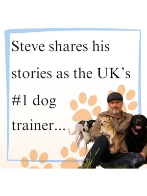 TeknoKapsül Another Day, Another Collar: Confessions Of A Dog Trainer: From The Author Of Easy Peasy Puppy Squeezy