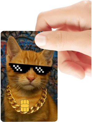 Huggy Craft Gözlüklü Komik Kedi Temalı Parlak Kredi/banka Kart Kaplama Sticker